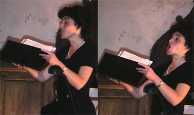 Irena Troupov&agrave;